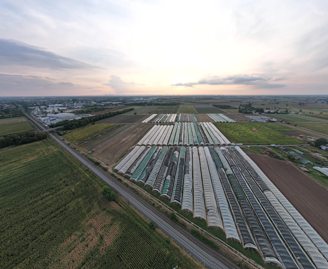 Agricultural production and distribution infrastructure