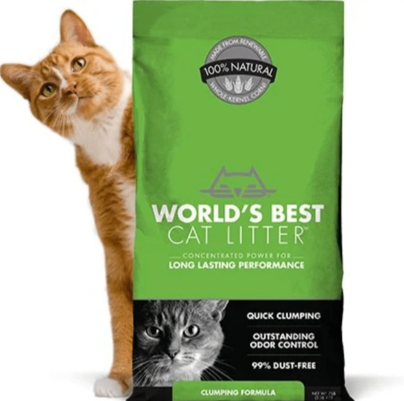 Cat litter marketing campaign