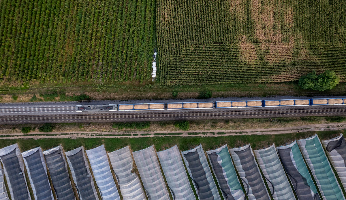 Freight rail running through Alberta farmland
