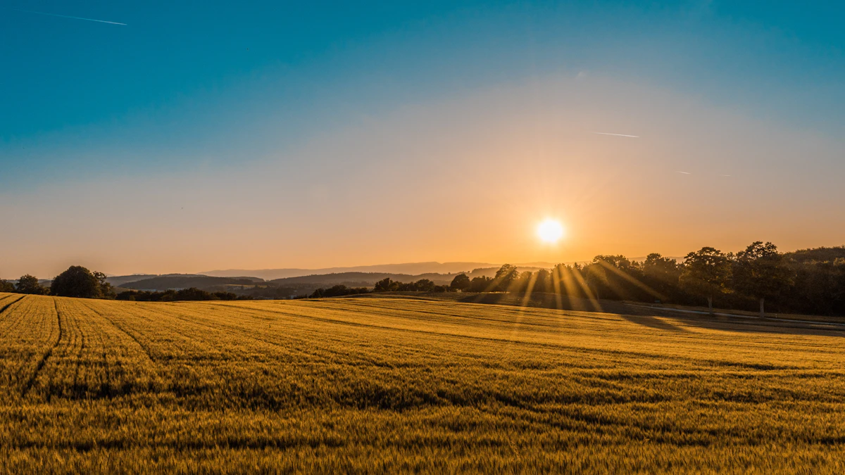 Alberta prairie landscape at golden hour